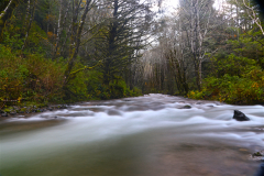 Confluence