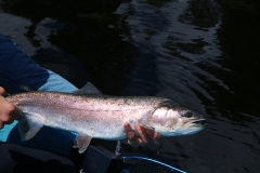 Big Rainbow
