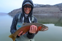 Nice Lahontan Cutthroat Trout