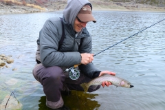 On the Streamer