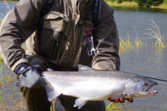 Chrome Silver