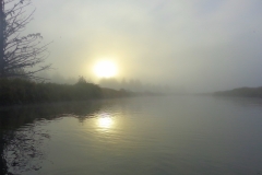 Misty Morning