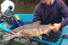 Chum