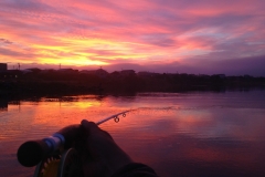 Pointing out a Roller at Sunset