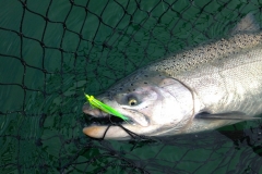 On the Big Clouser
