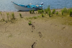 Footsteps