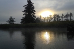 Early Morning Gift
