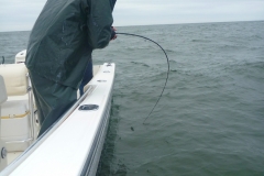 Under the Boat