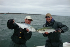 False Albacore Double