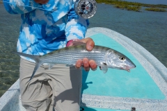 Bonefish