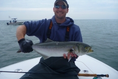 Bluefish