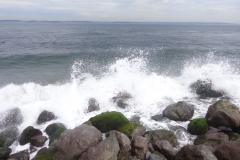 Shipping Wake