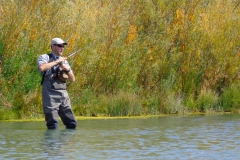 Chris Fighting a Brown