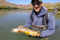 Brown on the Articulated Streamer