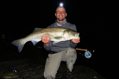 Nighttime Striper