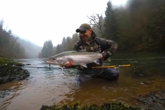 Big Chrome Steelhead Buck
