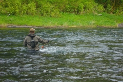 Wading Deep