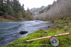 Steelhead Country
