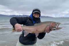 Kelly's Lahontan Cutthroat